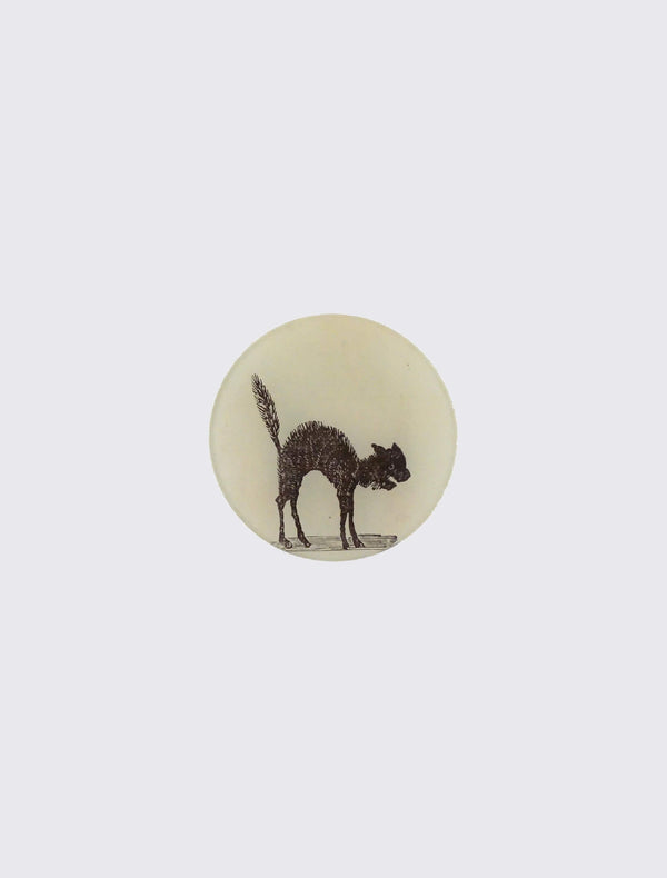 Arched Cat