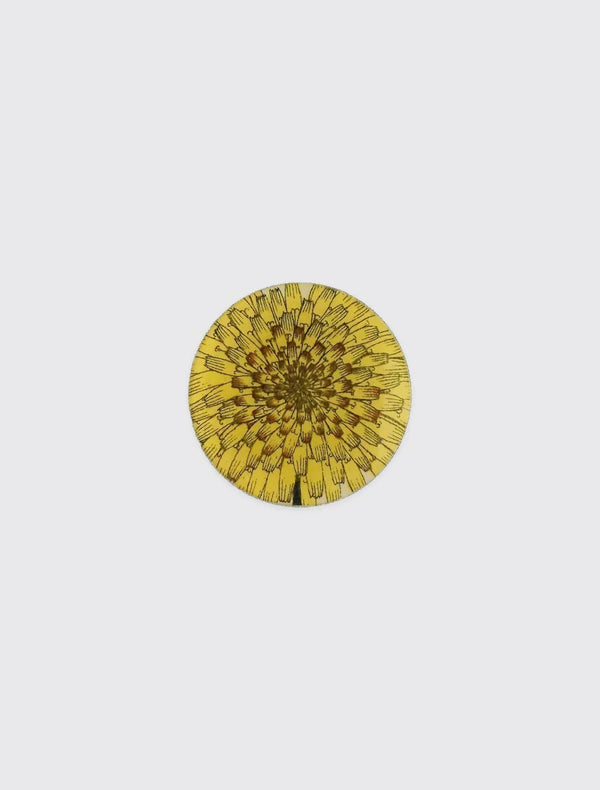 Dandelion Flower