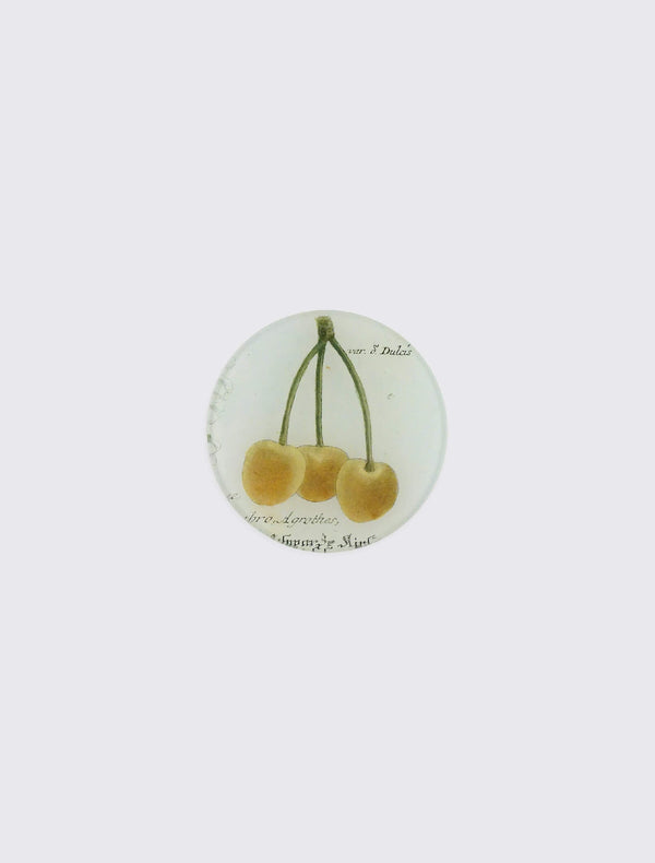 Var. S. Dulcis