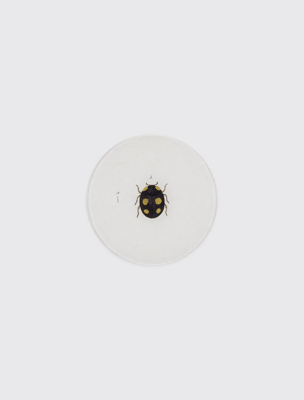 Ladybird (Ladybug)