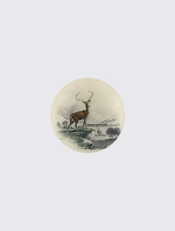 Stag