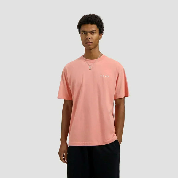 Brushstroke Face Tee
