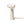 Cirrus 3 Iron Steamer