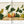 A Garden Eden. Masterpieces of Botanical Illustration