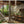 Homes For Our Time. Contemporary Houses around the World