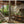 Homes For Our Time. Contemporary Houses around the World