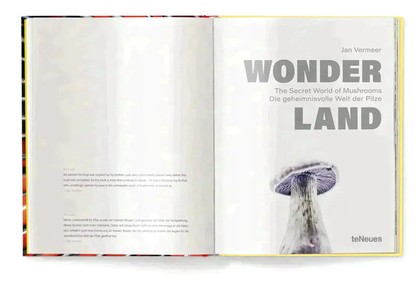 Wonderland
