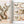 TATTOO. 1730s-1970s. Henk Schiffmacher’s Private Collection. 40th Ed.
