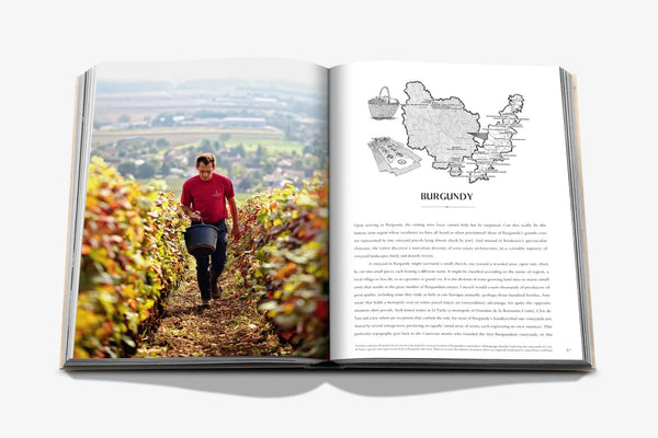 Wine & Travel France