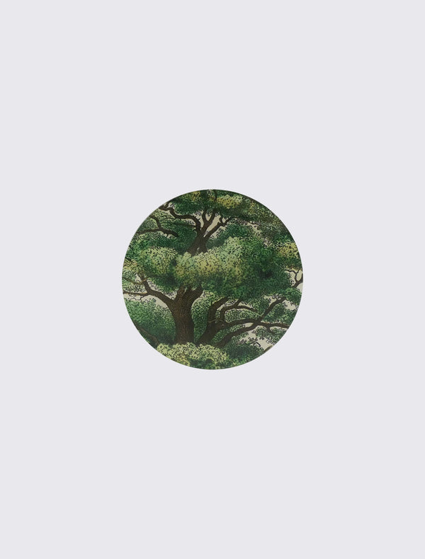 Branches