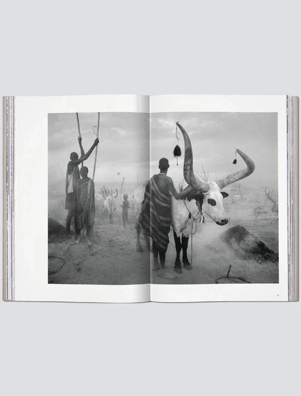 Sebastião Salgado. GENESIS