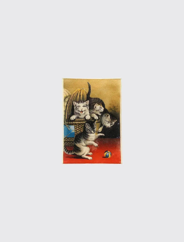 Basket of Cats