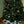 Midnight Ornament