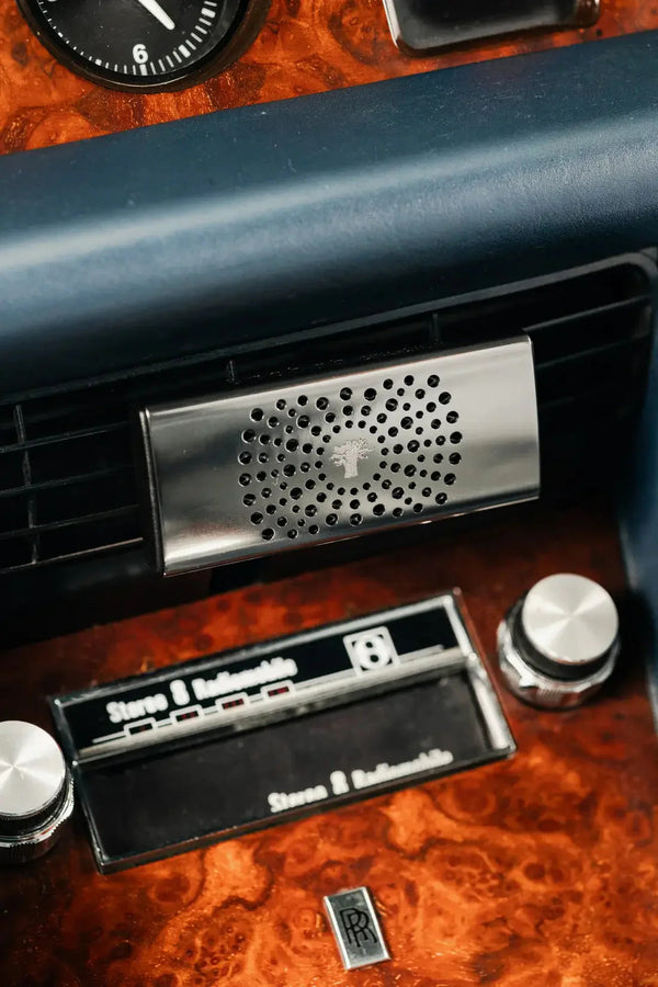 Platinum Car Diffuser