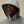 Pro-Tek Buttoned Hooded Jacket
