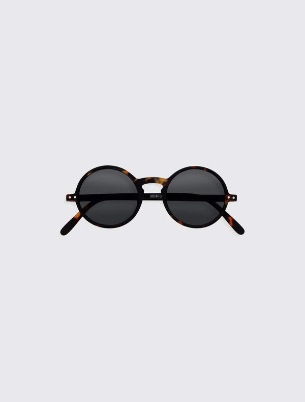 #G Sun Tortoise