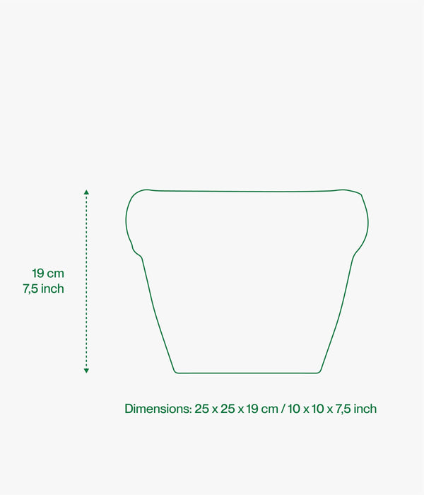 Planter Pierre Gloss