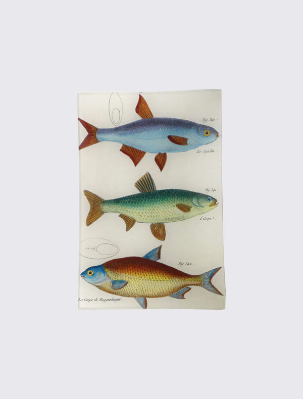 3 Fish Planche 82