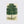 Arbor - Sugar Maple
