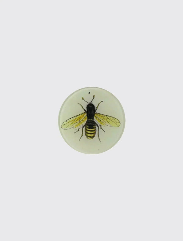 Bee 3
