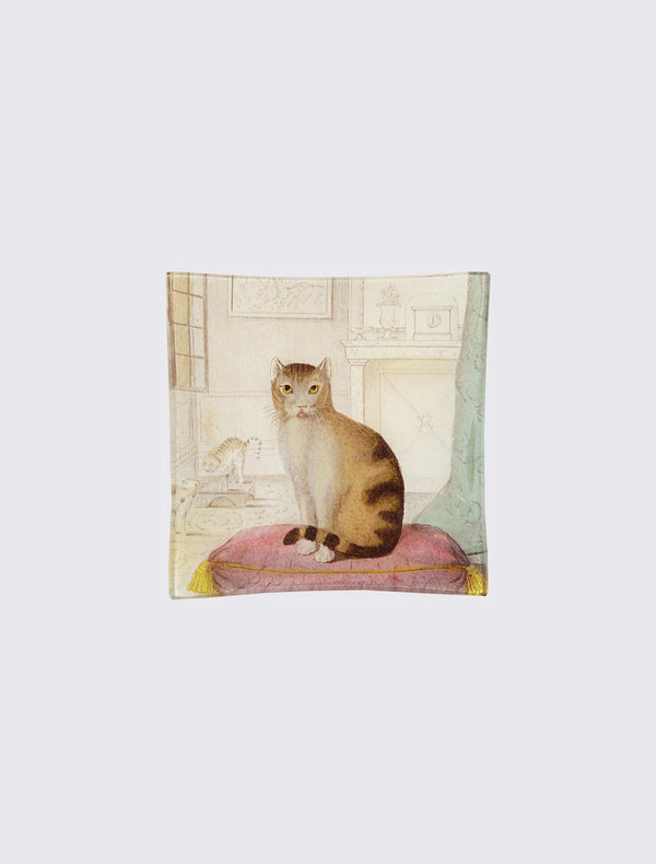 Calm Cat Un Vide Poshe