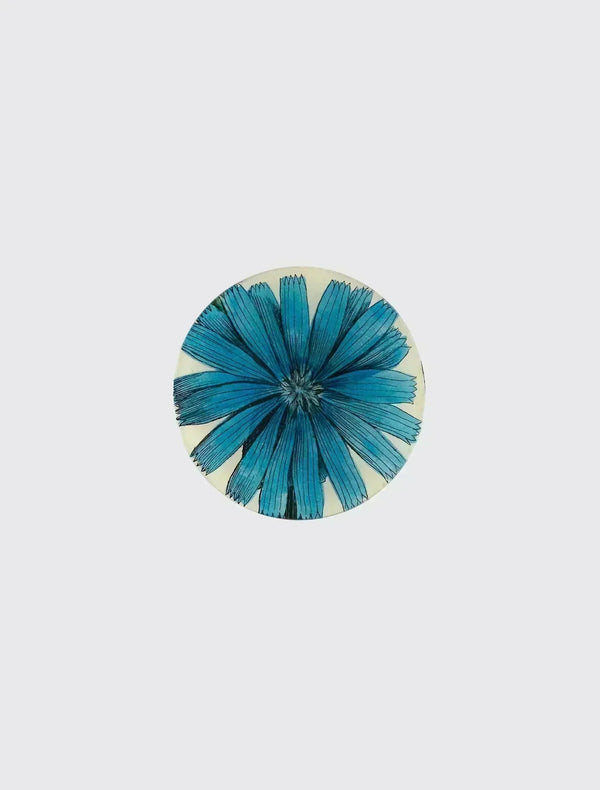 Chicory