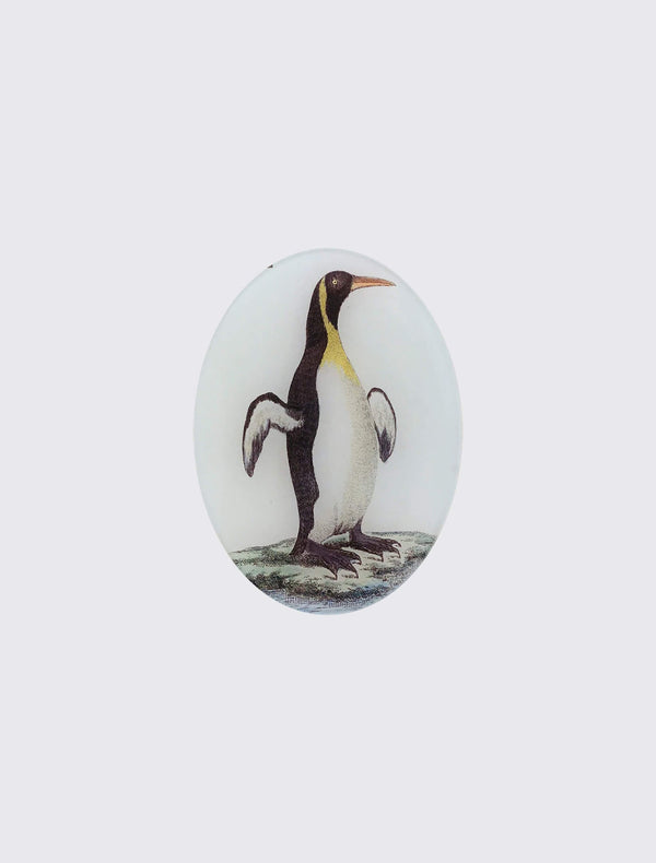 Guillemot