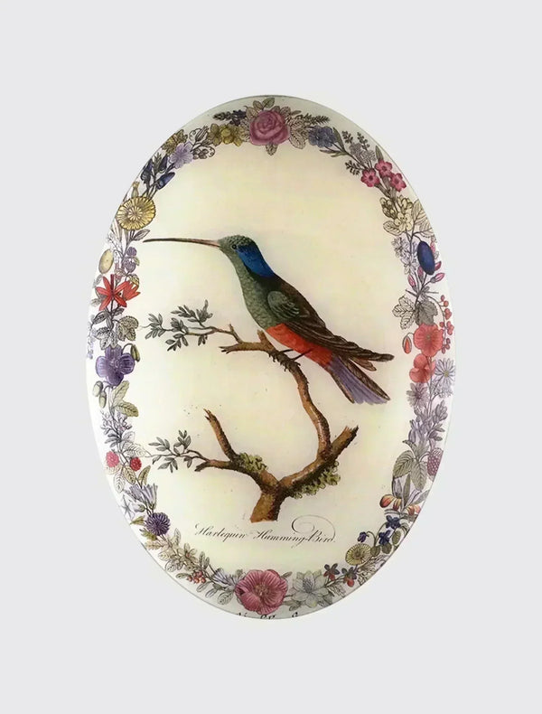 Harlequin Hummingbird with Flowers (Convex)