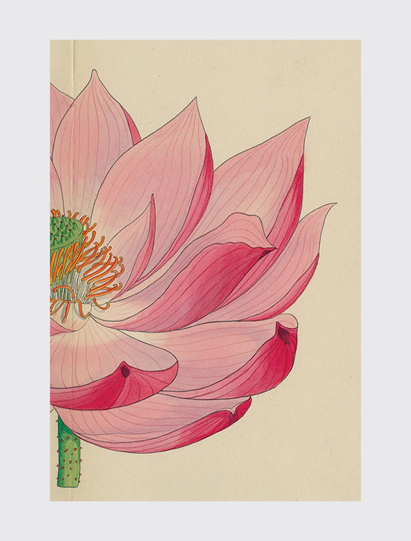 Painted Lily (Right)