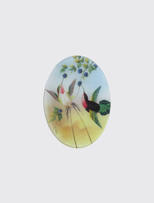 Pair Hummingbirds