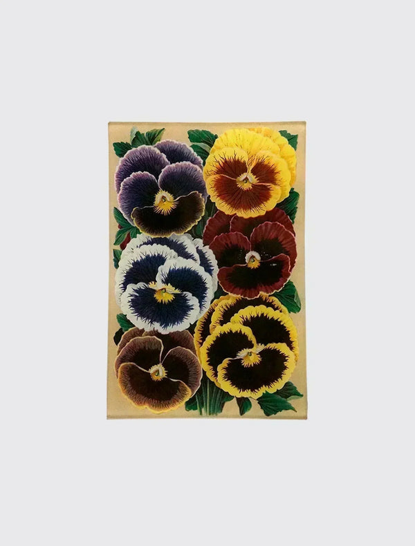 Pansies
