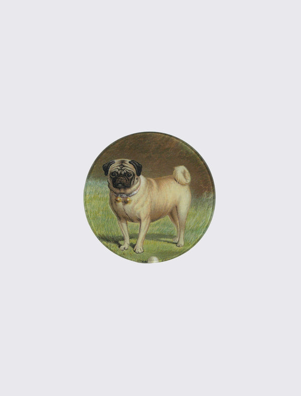 Pug & Ball