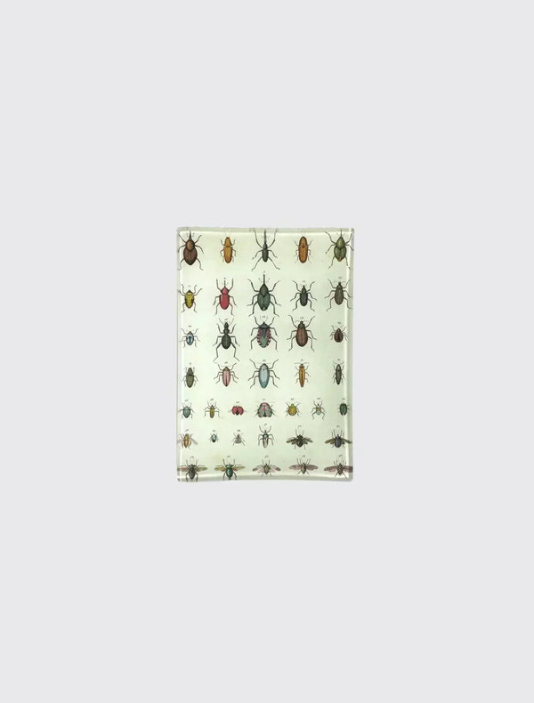 Torn Insects