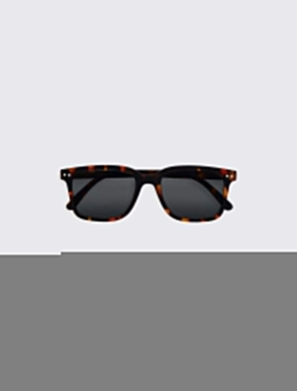 #L Sun Tortoise