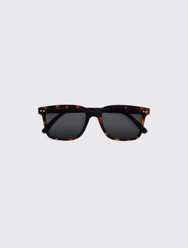 #L Sun Tortoise