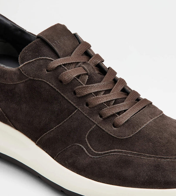 Tods sneakers bruin