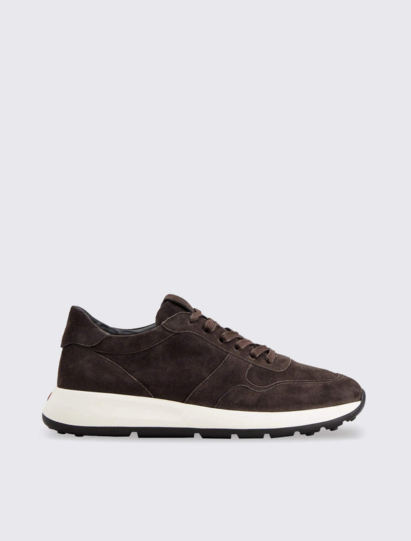 Tods sneakers bruin